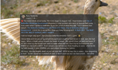 In case anyone else knew our sweet Bella.