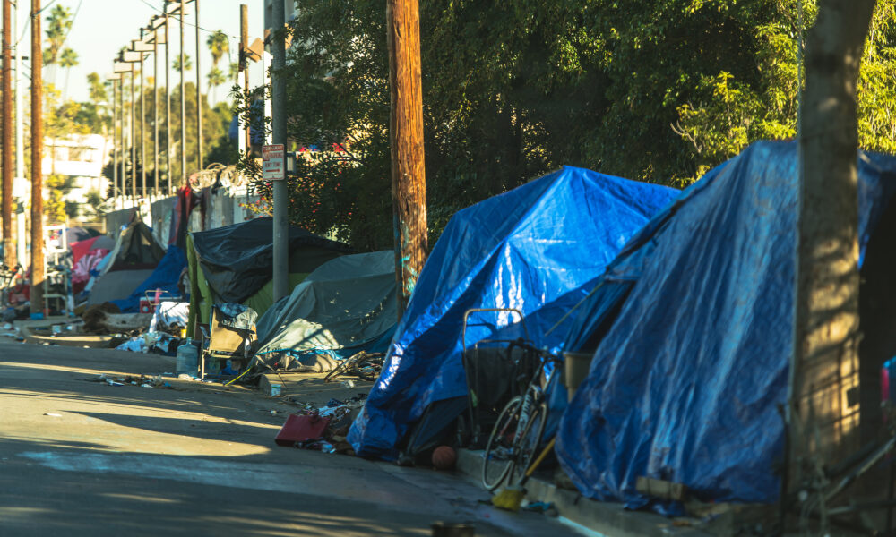 Shocking E. coli Levels in Barrie Creek Linked to Homeless Encampment