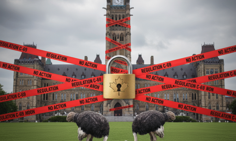 MP Slams Feds: Punishing Success Until It Leaves