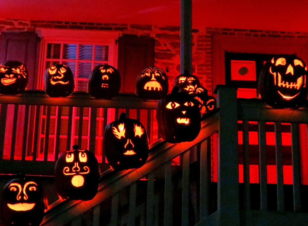 The Boo Tour is Ending And Thats a Shame for Local Businesses