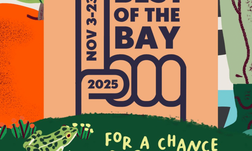 Why Your Last-Minute Vote For Bay of Quinte's Best Matters More Than You Think