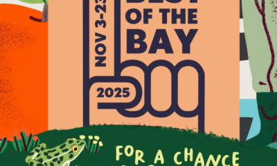 Why Your Last-Minute Vote For Bay of Quinte's Best Matters More Than You Think