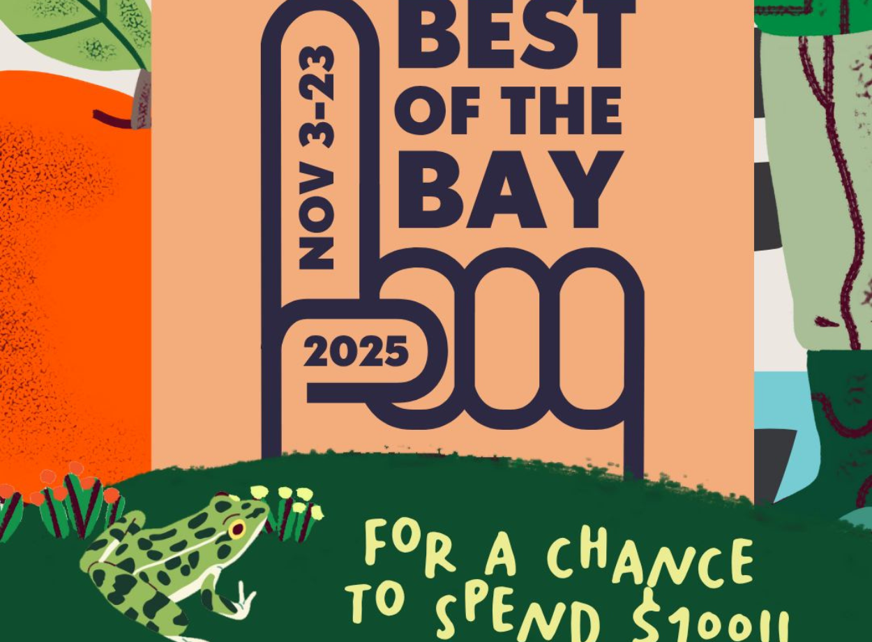 Why Your Last-Minute Vote For Bay of Quinte's Best Matters More Than You Think