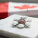 The latest inductees into the Order of Canada has been released. We take a look at past Bay of Quinte inductees.